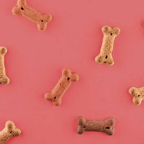 Livestock Feed and Pet Food